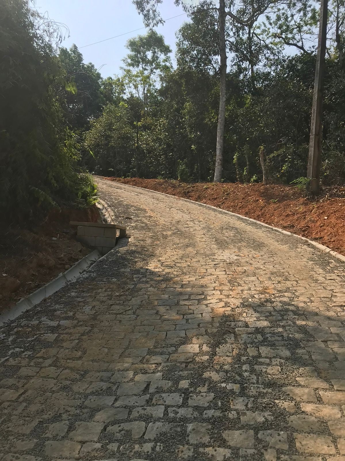 WhatsApp Image 2023-04-02 at 23.36.13.jpeg